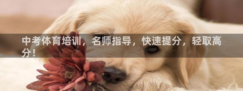 尊龙凯时集团：中考体育培训，名师指导，快速提分，轻取
