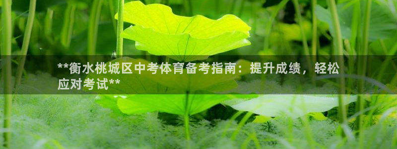 尊龙目前在哪：**衡水桃城区中考体育备考指南：提升成