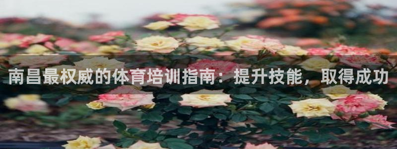 尊龙官网/首选kpm：南昌最权威的体育培训指南：提升