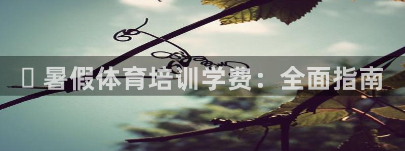 尊龙人生就是博一下首页：✅ 暑假体育培训学费：全面指