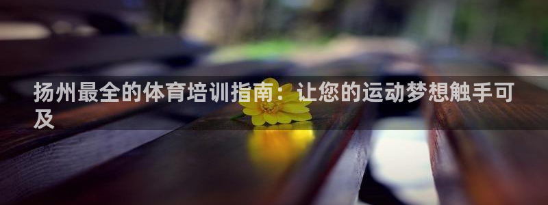 凯时尊龙平台登录：扬州最全的体育培训指南：让您的运动