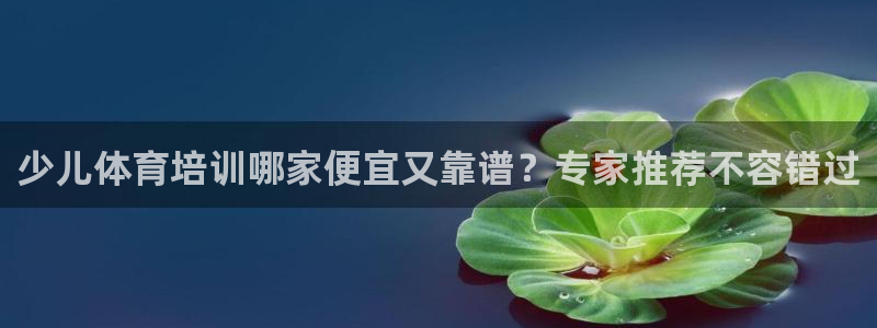 尊龙体育正规么：少儿体育培训哪家便宜又靠谱？专家推荐