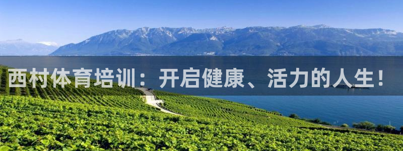 尊龙凯时d5138：西村体育培训：开启健康、活力的人