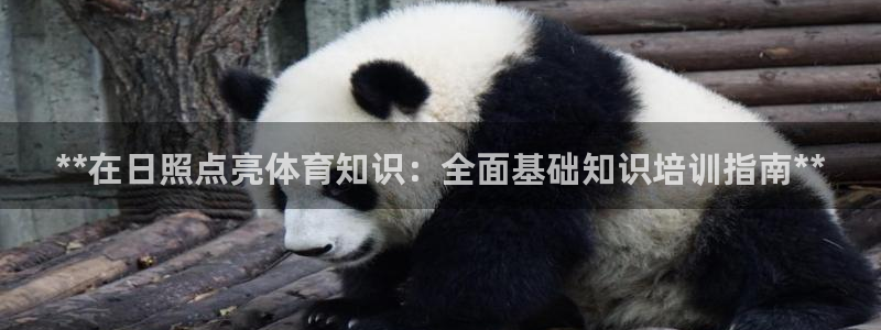 尊龙凯时app产品介绍：**在日照点亮体育知识：全面