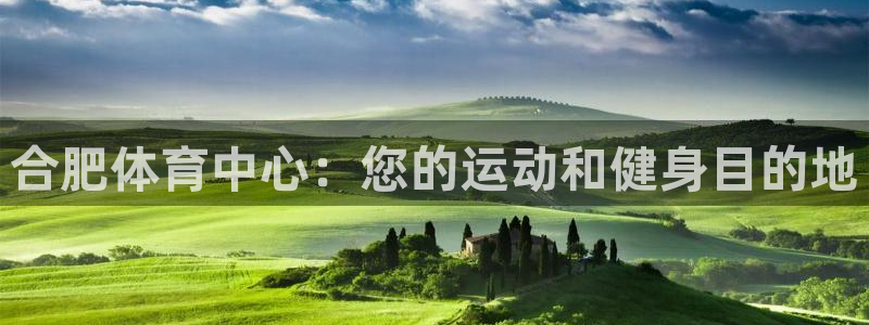 尊龙中国：合肥体育中心：您的运动和健身目的地