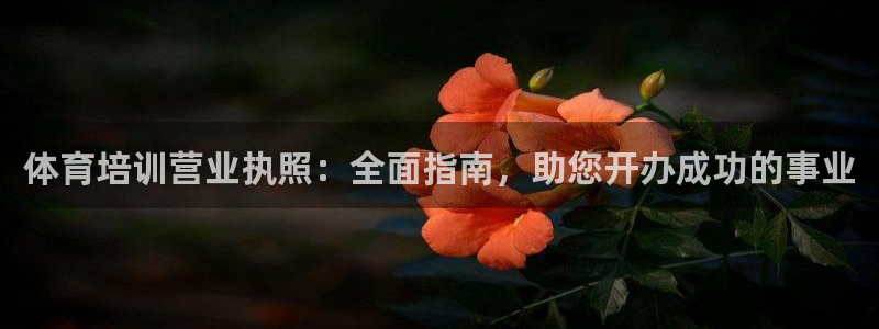 尊龙凯时提款冻卡吗：体育培训营业执照：全面指南，助您