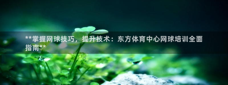 凯时kb88·中国官方网站：**掌握网球技巧，提升技