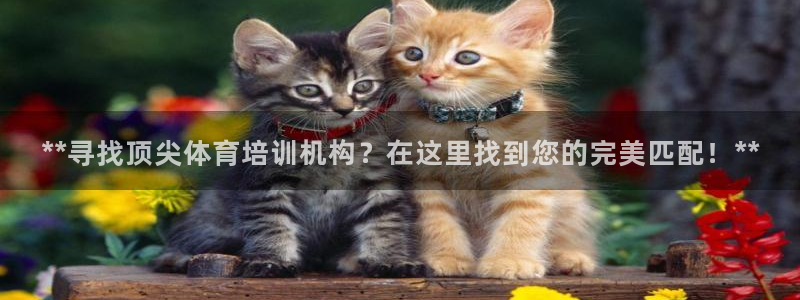 尊龙d88平台登录：**寻找顶尖体育培训机构？在这里