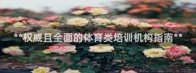 z6尊龙平台是哪里的：**权威且全面的体育类培训机构