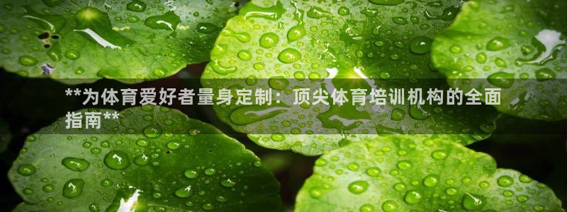 尊龙新版登录网址下载：**为体育爱好者量身定制：顶尖