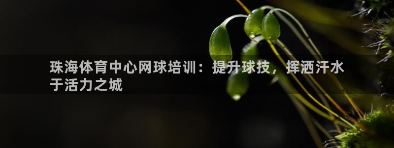 尊龙官网首页：珠海体育中心网球培训：提升球技，挥洒汗