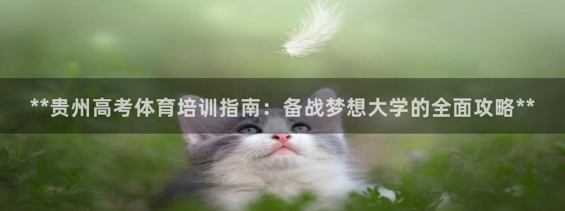 尊龙凯时白家乐：**贵州高考体育培训指南：备战梦想大