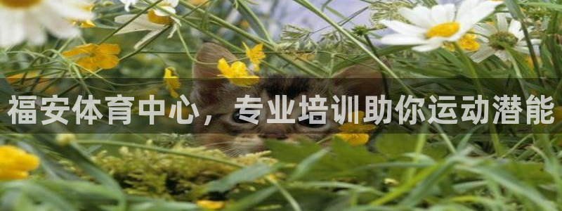 尊龙得过奥斯卡吗：福安体育中心，专业培训助你运动潜能