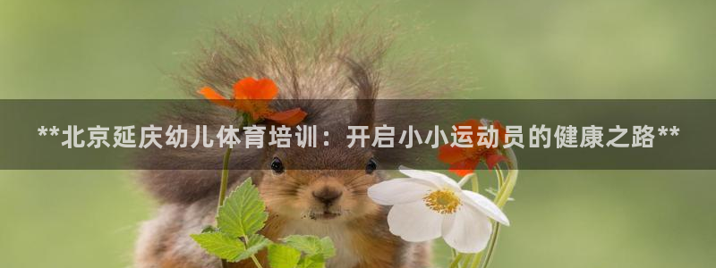 尊龙凯时白家乐：**北京延庆幼儿体育培训：开启小小运