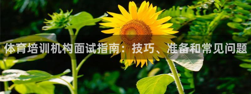 尊龙内地：体育培训机构面试指南：技巧、准备和常见问题