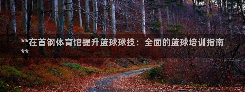 首页尊龙d88国际：**在首钢体育馆提升篮球球技：全