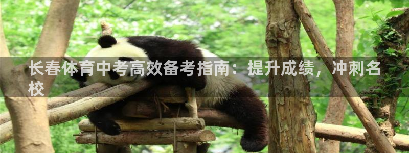 尊龙凯时 人生就是搏客服：长春体育中考高效备考指南：