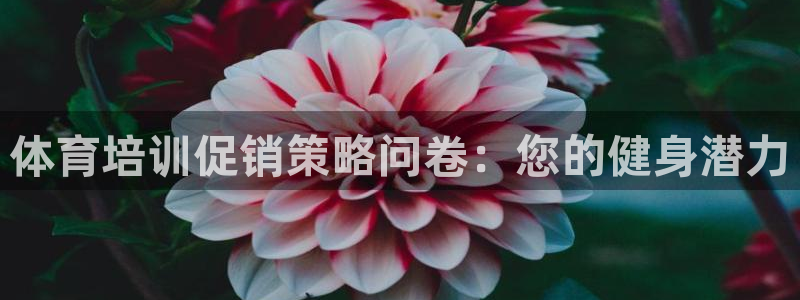 凯时kb88官方：体育培训促销策略问卷：您的健身潜力