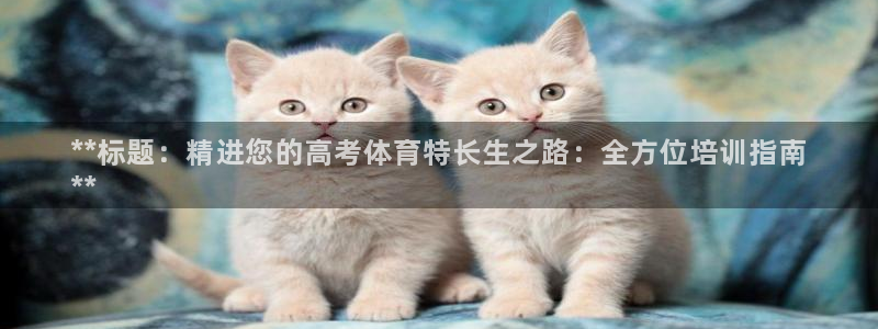 尊龙凯时ag旗舰厅：**标题：精进您的高考体育特长生