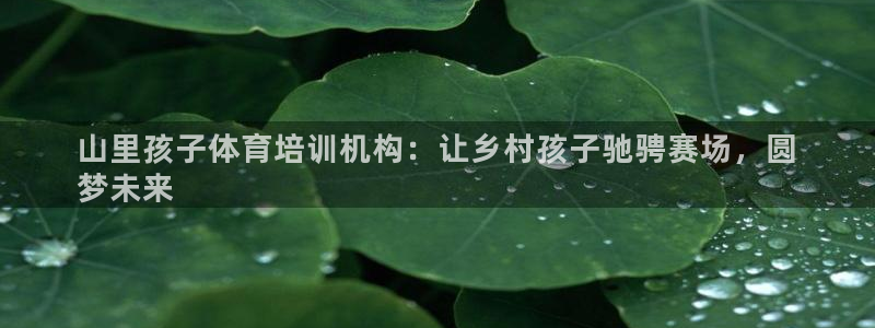 尊龙ag旗舰厅下载：山里孩子体育培训机构：让乡村孩子