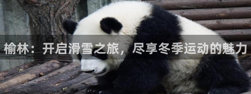 尊龙凯时是赌博嘛：榆林：开启滑雪之旅，尽享冬季运动的