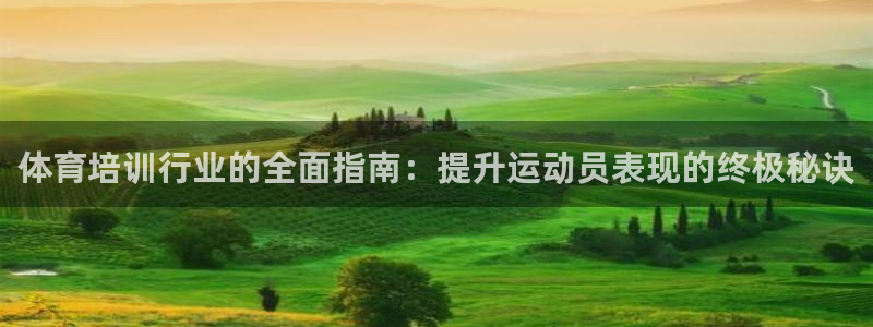 尊龙体育正规么：体育培训行业的全面指南：提升运动员表