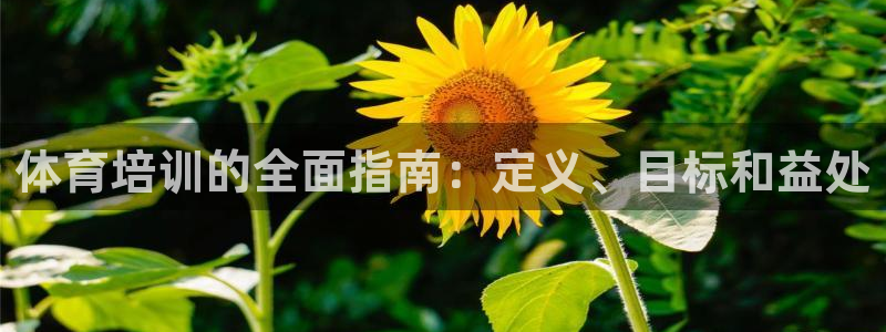 尊龙ag旗舰：体育培训的全面指南：定义、目标和益处