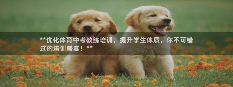 尊龙会ktv价格：**优化体育中考教练培训，提升学生