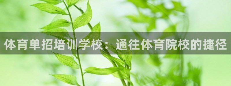 尊龙凯时d5138：体育单招培训学校：通往体育院校的