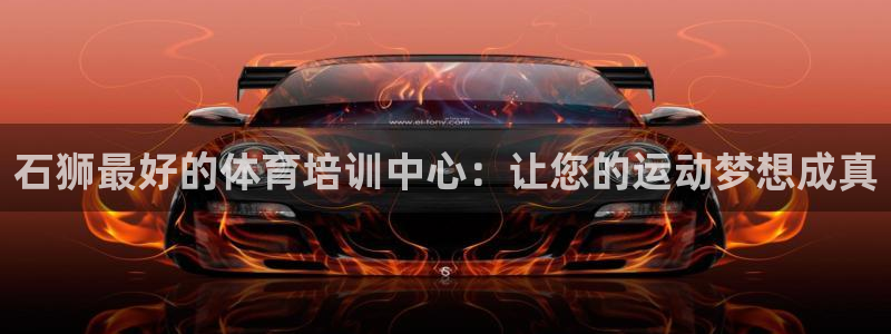 尊龙凯时麻将胡了：石狮最好的体育培训中心：让您的运动