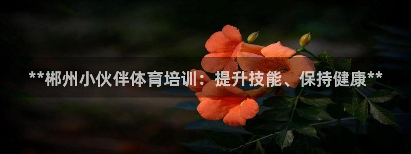 尊龙凯时人生就是搏!官网：**郴州小伙伴体育培训：提