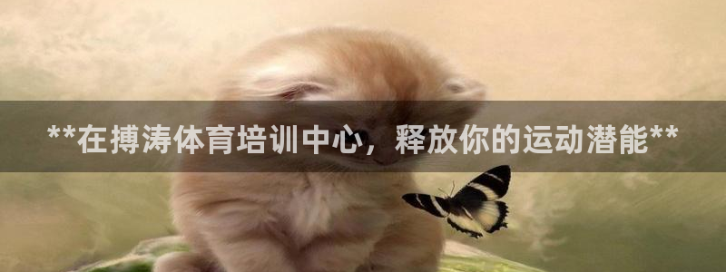 尊龙 10：**在搏涛体育培训中心，释放你的运动潜能