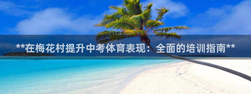 尊龙人生就是博菲律宾台子：**在梅花村提升中考体育表