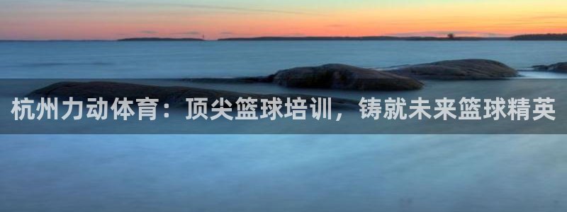 尊龙人品怎么样：杭州力动体育：顶尖篮球培训，铸就未来