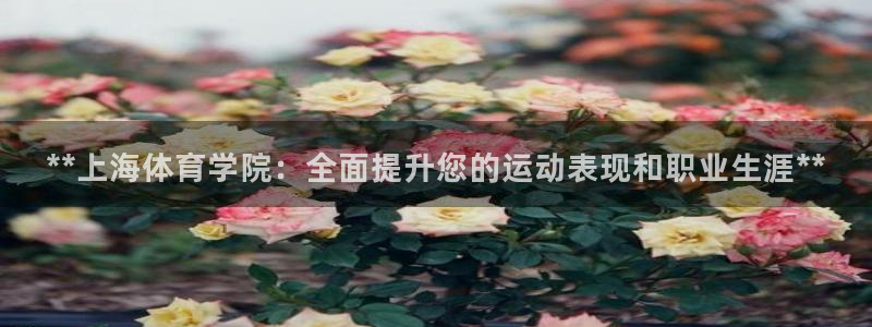 尊龙人生就是博首页：**上海体育学院：全面提升您的运