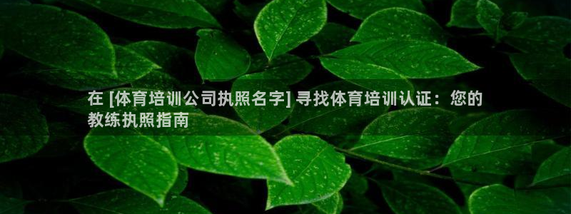 尊龙凯时网娱乐最新版下载：在 [体育培训公司执照名字