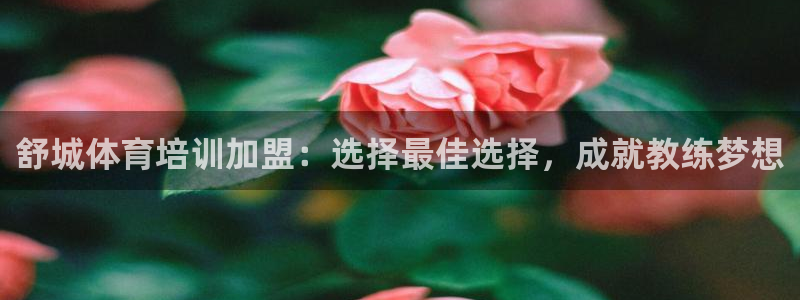 尊龙凯时网站是什么地方人开的：舒城体育培训加盟：选择