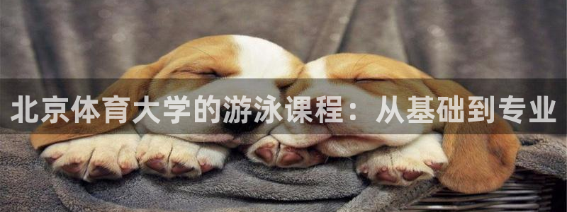 尊龙凯时网娱乐官网