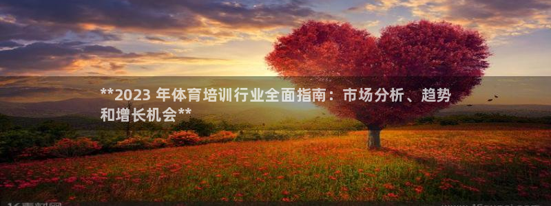 ag尊龙凯时集团：**2023 年体育培训行业全面指南：市场
