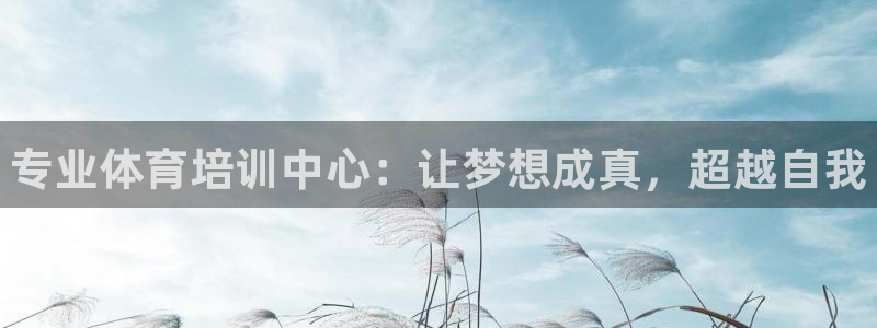 尊龙凯时有限公司