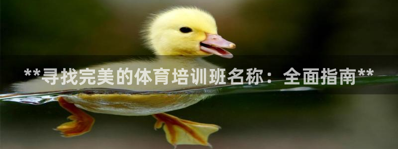 尊龙凯时ag旗舰厅官网客服：**寻找完美的体育培训班名称：全