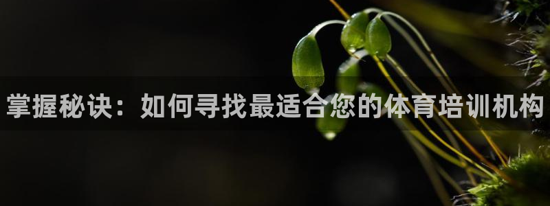 尊龙Ag：掌握秘诀：如何寻找最适合您的体育培训机构