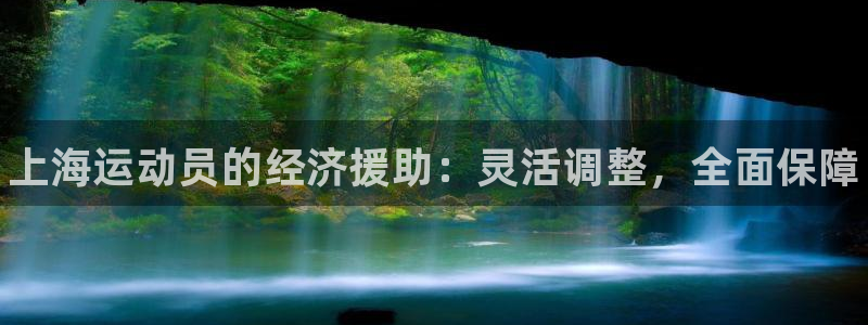 尊龙游戏中心：上海运动员的经济援助：灵活调整，全面保