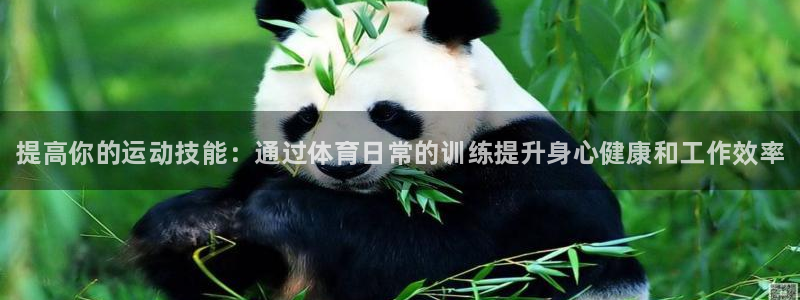 尊龙新版登录网址下载：提高你的运动技能：通过体育日常