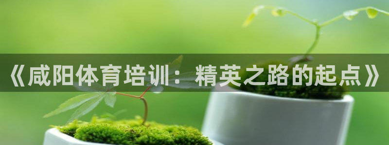 尊龙凯时官网：《咸阳体育培训：精英之路的起点》