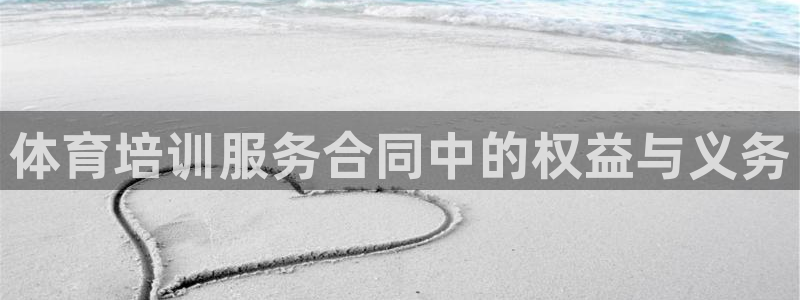 尊龙凯时人生就是博游戏网站：体育培训服务合同中的权益与义务