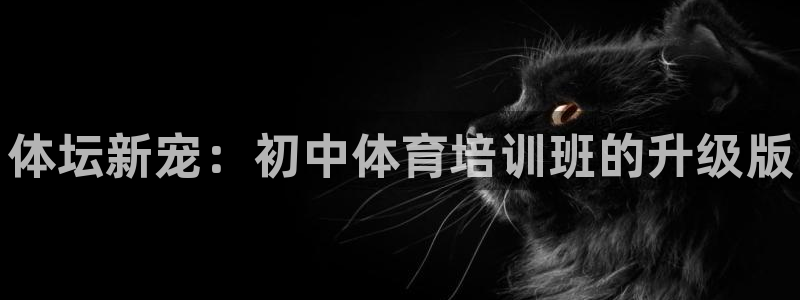 尊龙最新版：体坛新宠：初中体育培训班的升级版