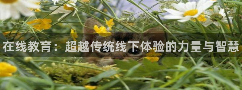 尊龙旗舰厅app：在线教育：超越传统线下体验的力量与智慧