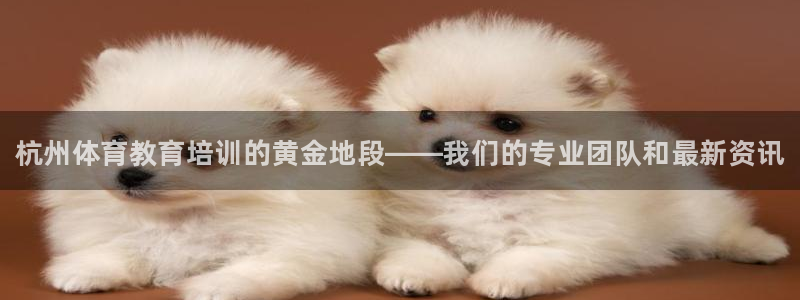 尊龙凯时的企业文化：杭州体育教育培训的黄金地段——我们的专业