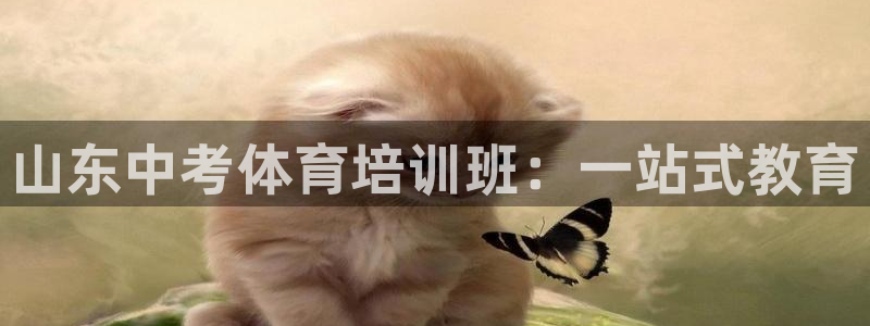尊龙官方网站最新版V9.3.06介绍：山东中考体育培训班：一